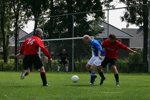 AdeWit1979's profile picture. voetbal,dameskesteren,vvk,fransebulldog,