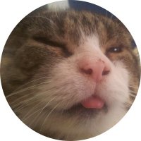 Richard(@gamray) 's Twitter Profile Photo