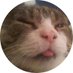 Richard (@gamray) Twitter profile photo Richard (@gamray) Twitter profile photo
