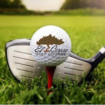 ElcarisoG's profile picture. 