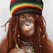 fetchit_stepin's profile picture. 