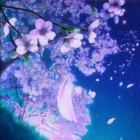 ココア愛 (@cocoalove2019) 's Twitter Profile Photo ココア愛 (@cocoalove2019) 's Twitter Profile Photo