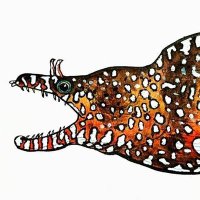 みんなで魚を描こうの会 (@fish_drawing_) 's Twitter Profile Photo