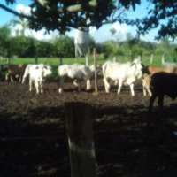 Hpaz26 (@hpaz261) 's Twitter Profile