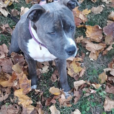 KMoore92051197's profile picture. 