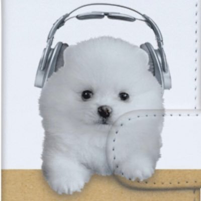 DaisukeKONDO1's profile picture. サウンドプロアーティスト所属、evmレーベル ライブハウスとラジオ番組制作ディレクター兼プロデューサー。 元ベーシストで、今は筋トレとダイエットでまずは健康体を目指す！ あと、ポメラニアン飼ってます。 
#ポメラニアン
#筋トレ
#ライブハウス
#EVM
#国分寺
#morgana
#国分寺morgana