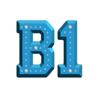 B1Patch Profile Picture