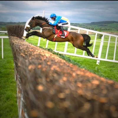 Breaking & Pre Training Point to Point jockey kindly sponsored by Andrews Bowen Ltd