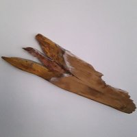 Brigitte Cleve (@sonwikblick) Twitter profile photo