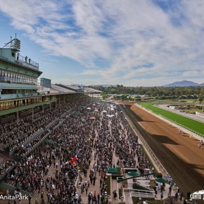 Daisydolala's profile picture. 