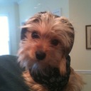 Nancy McClanahan - @mwolfspirit - Twitter