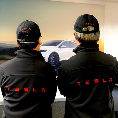 The Tesla Nerd Tuners