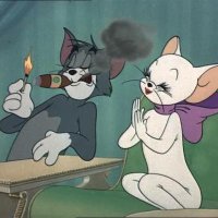 ütopik kedi (@endless_meow) 's Twitter Profile