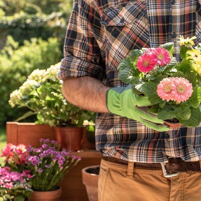 Hello, I am Alan j Lawson and I am the founder of https://t.co/5mw4ICe0Uu and stay with us. We publish garden related posts this might help you a lot