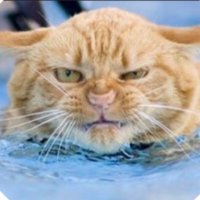 Hawkeye@TriggeredNews (@hawkeyetrigger1) 's Twitter Profile Photo Hawkeye@TriggeredNews (@hawkeyetrigger1) 's Twitter Profile Photo