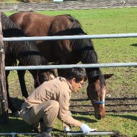 Ryo NAKANISHI (@nakanishiryo2) 's Twitter Profile Photo