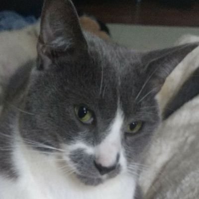 MazAnneMoore's profile picture. Teaching Assistant in a Special school, Mum of 3, love listening to music and reading