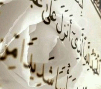 IslamsNATURE's profile picture. 