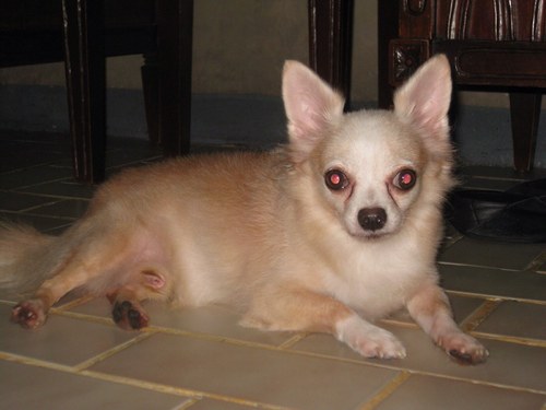 fang1972's profile picture. 