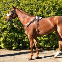 Peter Fahey (@peterfahey14) 's Twitter Profile