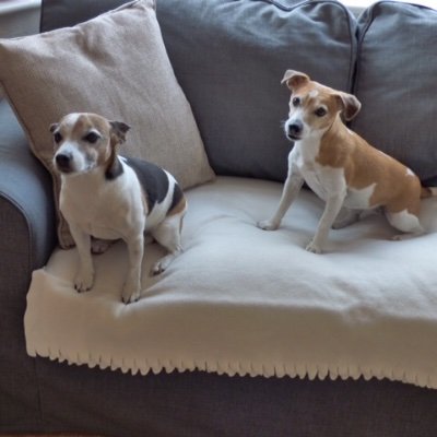 jcnpton's profile picture. 