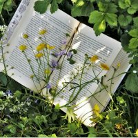 Hoda Zaabouti (@hodazaabouti) Twitter profile photo