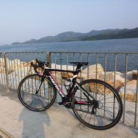 danielchow (@danielc84150120) 's Twitter Profile