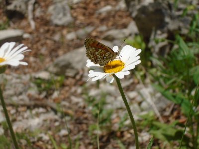 Writing, reading, walking, cycling, conservation volunteering, nature and more
 https://t.co/l1016gXUWO