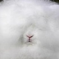 confusingyou_'s profile picture. 