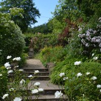 Burrow Farm Gardens (@burrowfarmgarde) 's Twitter Profile Photo