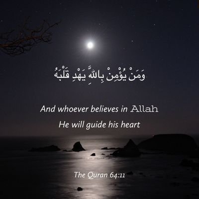 apfrh2015's profile picture. ‏باحث صادق عن الحق .. اللهم اهدني الى صراطك المستقيم .. وثبتني على الحق الى أن ألقاك