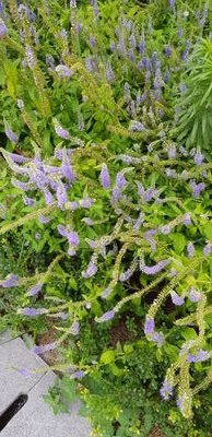 textreader1017's profile picture. 