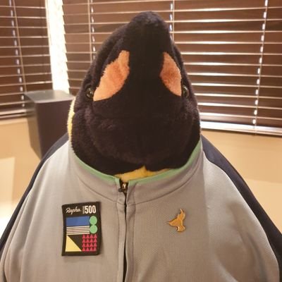 NW6Penguin Profile Picture