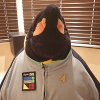 Napoleon(@NW6Penguin) 's Twitter Profile Photo