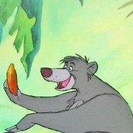 JakeJac32072798's profile picture. 