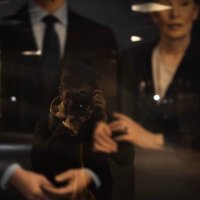 Hen (@hendogwarren) 's Twitter Profile
