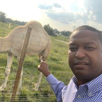 Brad P Landor (@bradlandor) 's Twitter Profile