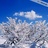 blue72sky's profile image
