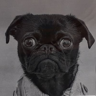 AndreuLlop's profile picture. Enginyer de Software i Científic de Dades. Militant pel català, occità, aragonès i per totes les llengües minoritzades. Orgullós pare de la petita Mar 👶🏻🌊