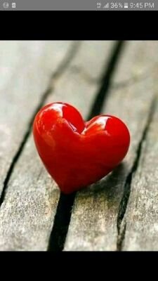 looking for serious relationship with a good man