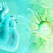 Cardioonc Bot (@cardioonc_bot) 's Twitter Profile