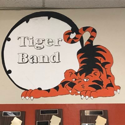 dhsbandtigers Profile Picture