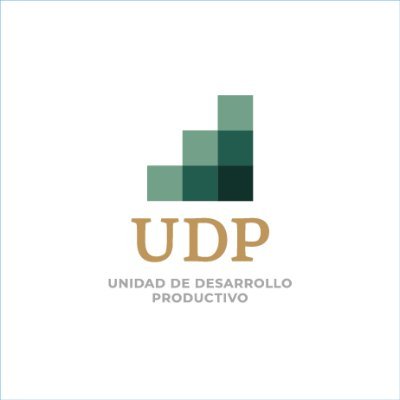 Economia_UDP Profile Picture