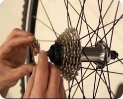 The UKs foremost cycle maintenance trainers offering government funded or commercial courses.