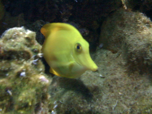 TechSafetyGuru's profile picture. networking