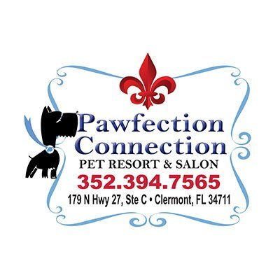 Pawfection Connection Pet Resort & Salon