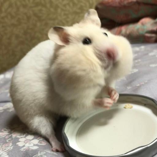 twickvibe's profile picture. 24 yo