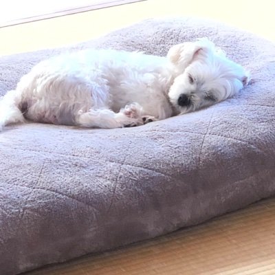 jrhE1fhbHZBETJB's profile picture. 