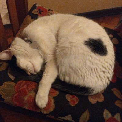 francort_'s profile picture. Computín y ñoño. Teorizador de ASOIAF.