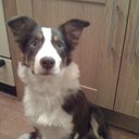 Paula Summers - @paulasummers - Twitter